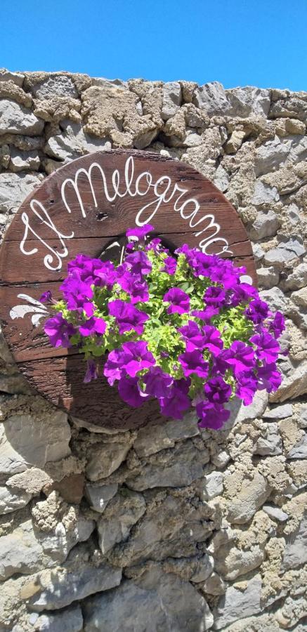 B&B Il Melograno Tortorella Экстерьер фото