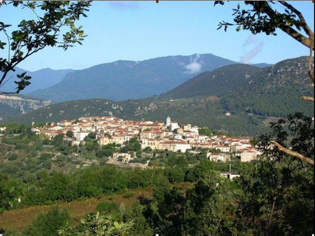 B&B Il Melograno Tortorella Экстерьер фото